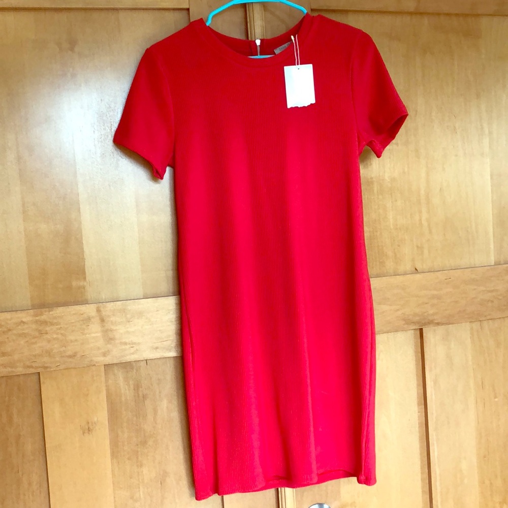 Zara Trafaluc Red/Pink Dress